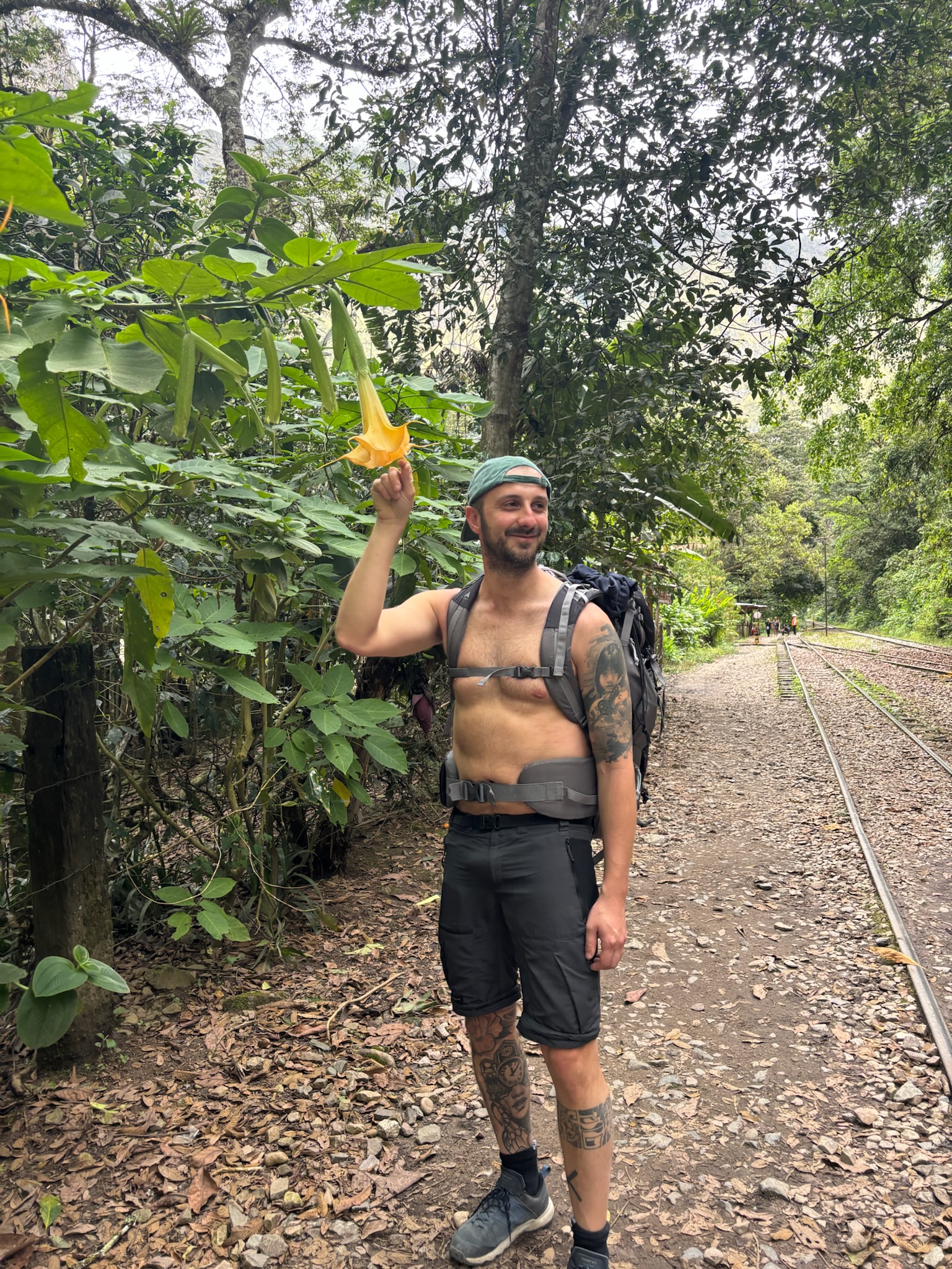 Lungo la ferrovia verso Aguas Calientes, Perù